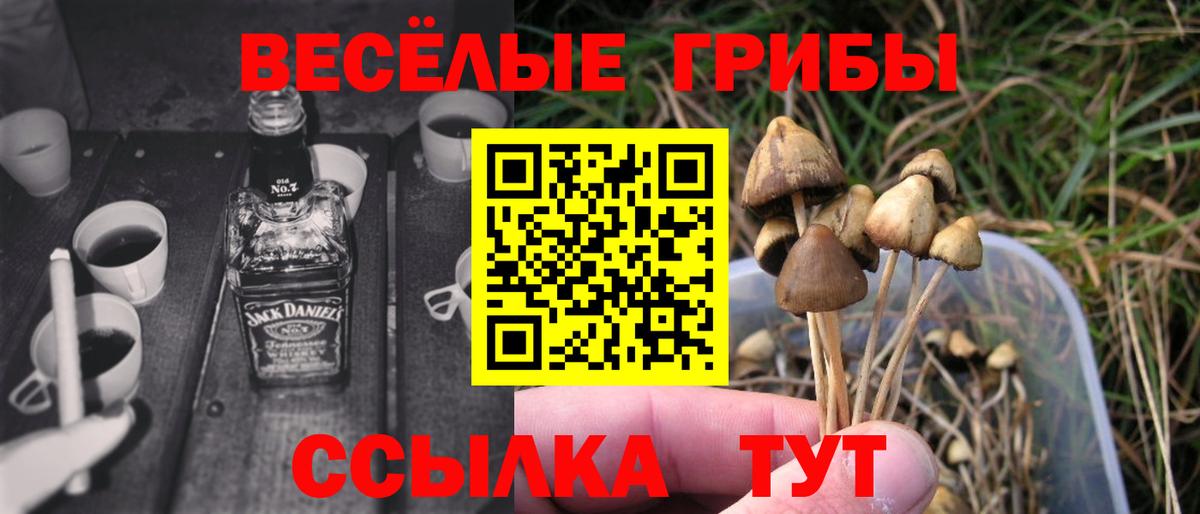 Псилоцибиновые грибы ЛСД Саров